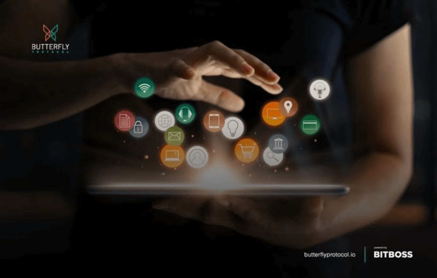 BFLY là gì? Thông tin chi tiết về đồng coin Butterfly Protocol Butterfly Protocol