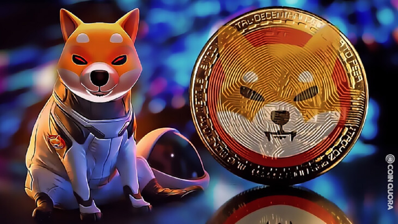 Các đồng coin mới tiềm năng sinh lời cao trong năm 2022 Các đồng coin mới tiềm năng sinh lời cao trong năm 2022