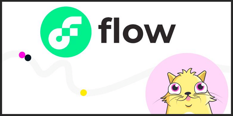Flow coin Flow coin