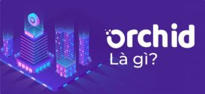 Orchid (OXT) là gì?